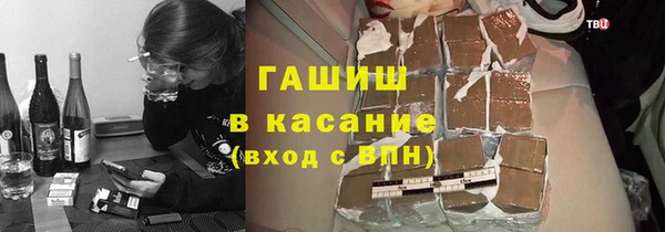 2c-b Инсар