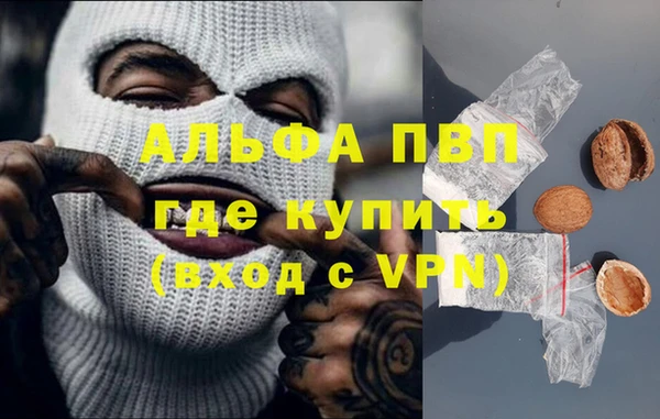 2c-b Инсар